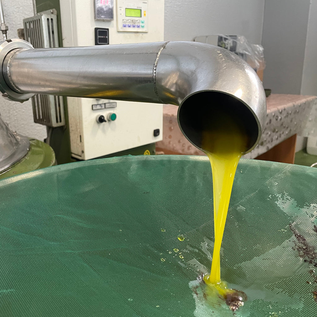 Olio Extra Vergine di Oliva Delicato Campagna Olearia 25/26 3l