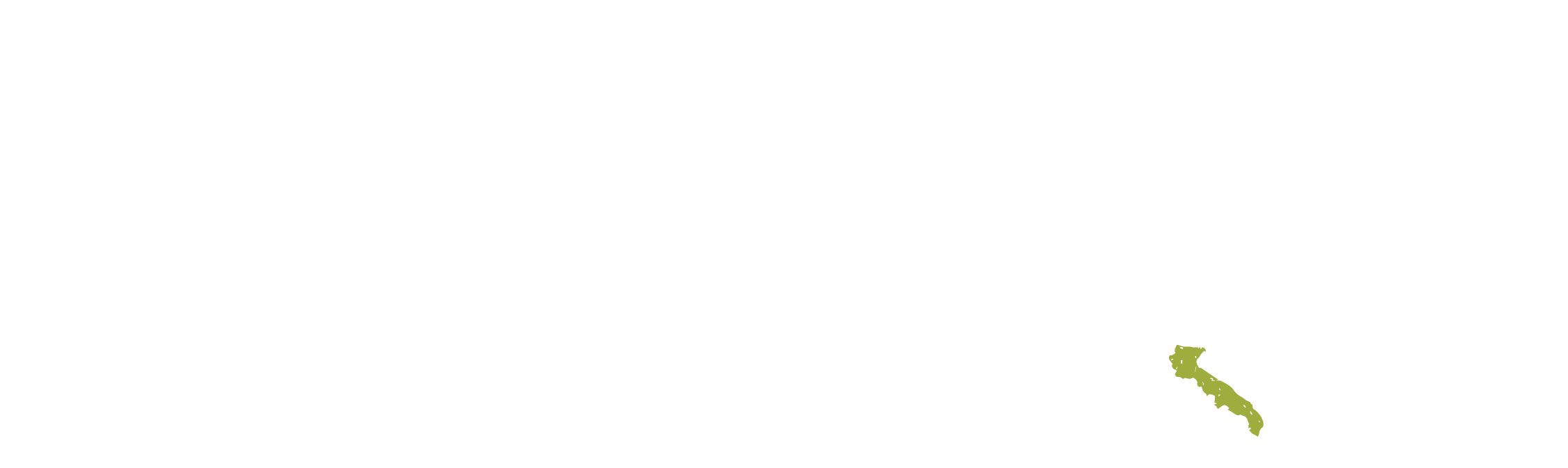 Tra i Banchi del Mercato | Taralli Pugliesi